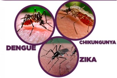 Expertos debatirán sobre dengue, zica y chikungunya