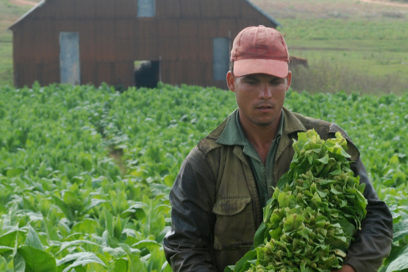 Celebran conferencias de los sindicatos nacionales Agropecuarios, Forestales y Tabacaleros