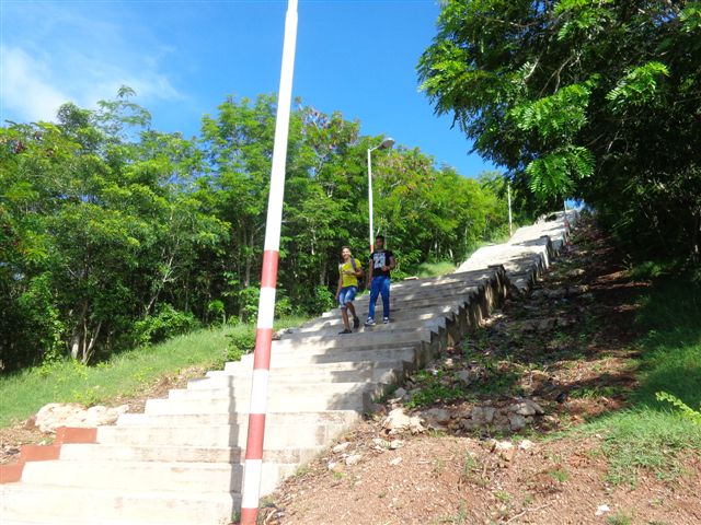 Frondosos árboles crecen en las laderas de la Loma de la Cruz.. Foto: Manuel Valdés Paz