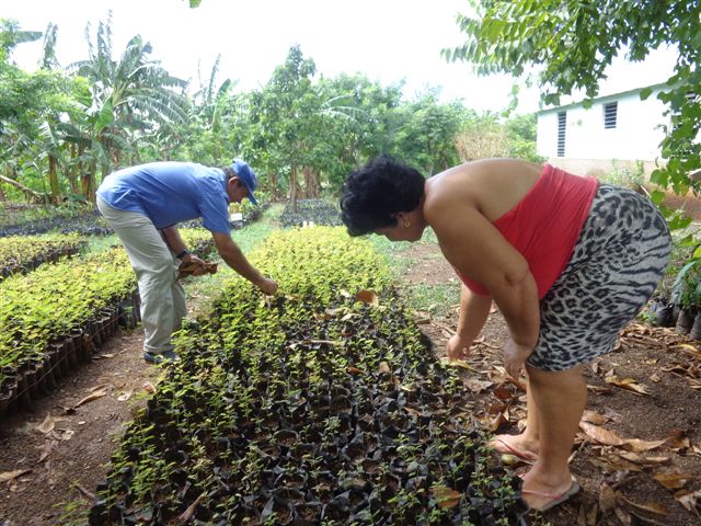Los finqueros desarrollan sus propios cultivos. Foto: Manuel Valdés Paz