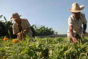 Foto: Tomada de internet