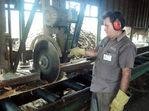 Hay que minimizar los riesgos laborales en la agricultura para garantizar la salud y seguridad de los trabajadores. Foto: Carlos Cánovas