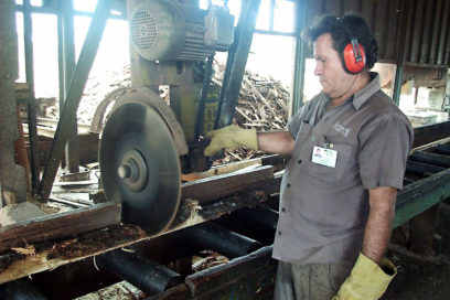 Proteger al trabajador