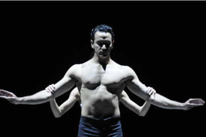 El cisne no va a morir… nunca