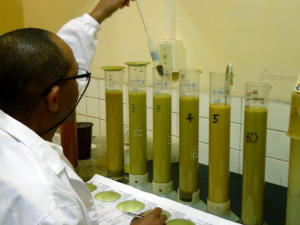  Foto: Cortesía de la empresa 