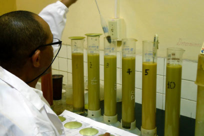 Investigadores pinareños de la construcción cumplen  plan anual