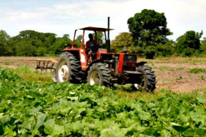 Por los senderos del triunfo