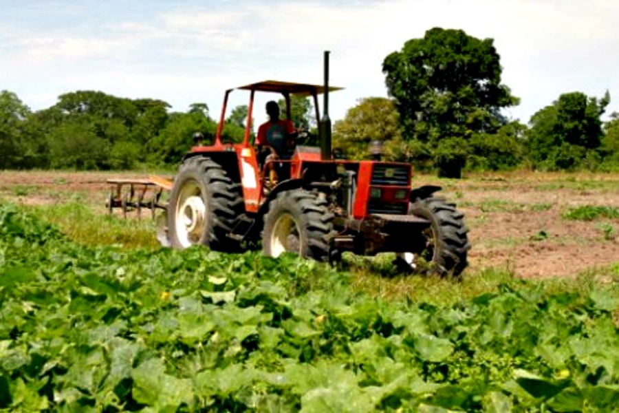 agroalimentario-1