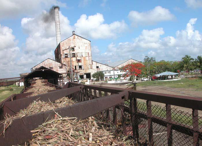 Central Siboney.