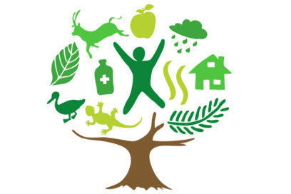 Por el desarrollo ambiental sostenible