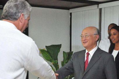 First Cuban Vice President Meets IAEA Director General