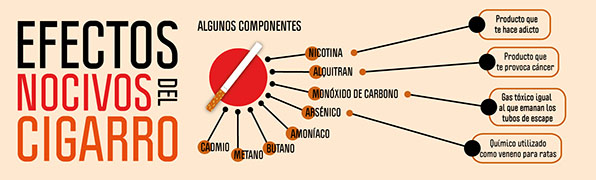 Foto: Tomada de www.behance.net