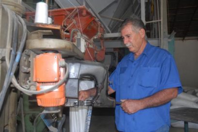 Innovadores y racionalizadores: perfeccionar el funcionamiento orgánico