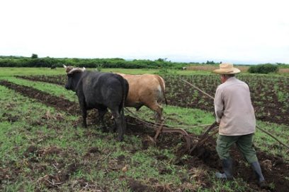 Un sindicato diferente