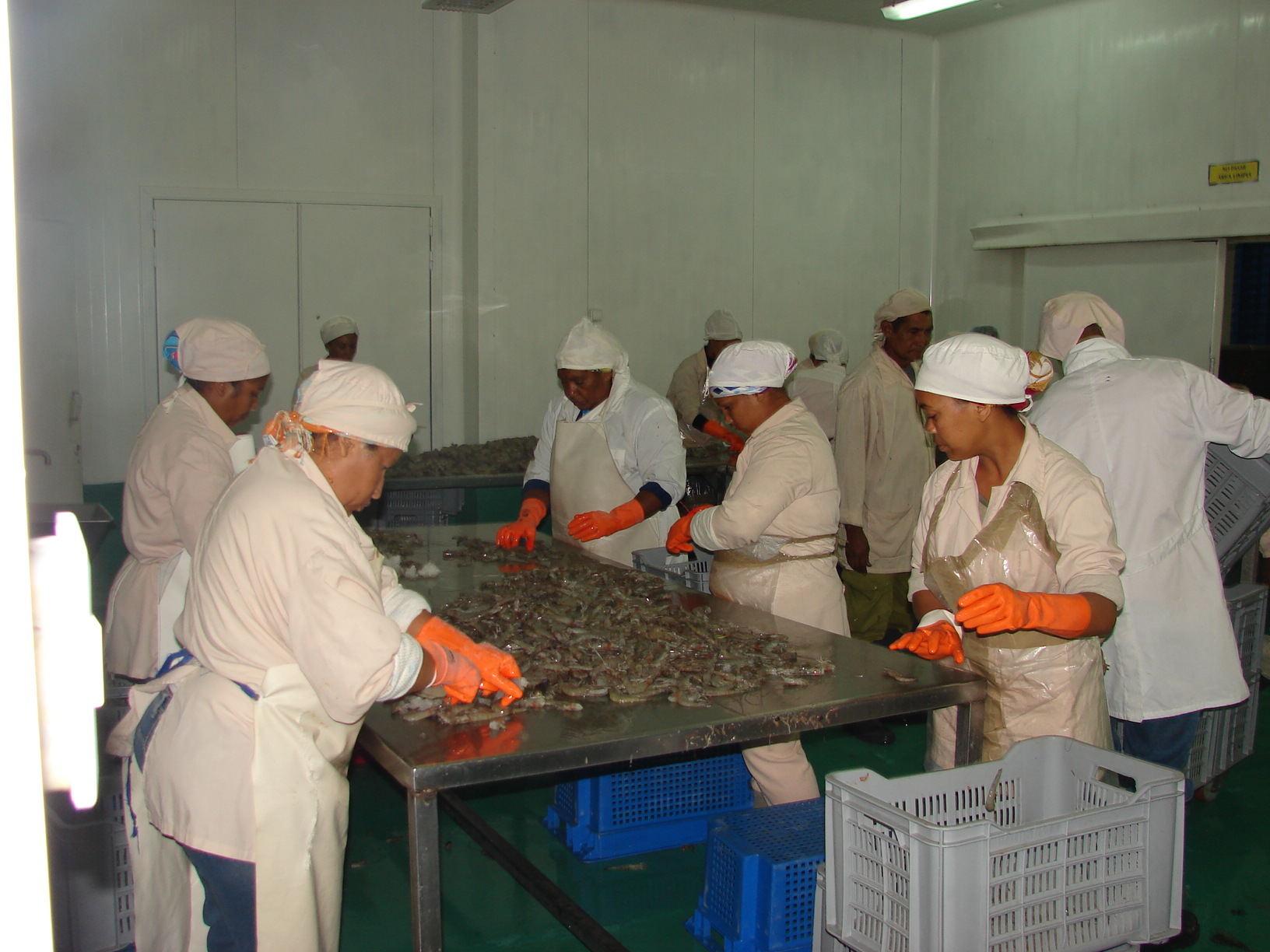 De Calisur depende que la Empresa para el Cultivo del Camarón, que tiene ocho UEB en todo el país, cumpla sus planes y sea eficiente, refiere Hernández Díaz. 