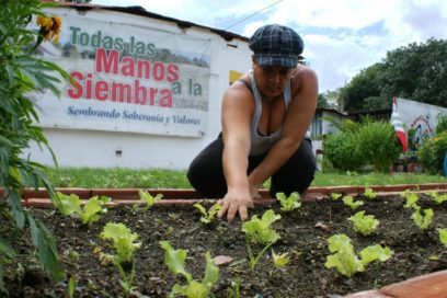  Más mujeres en el desarrollo de la Agricultura Urbana
