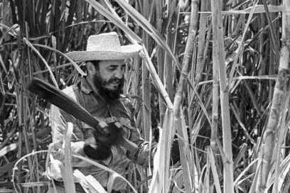 Fidel, desbrozando caminos