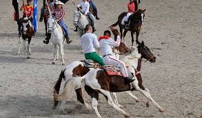A la feria asisten representaciones de todo el país. Fotos: CNC Televisión Granmense