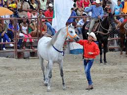 Más de mil 700 ejemplares, de las diferentes especies ganaderas, serán exhibidos en la feria.