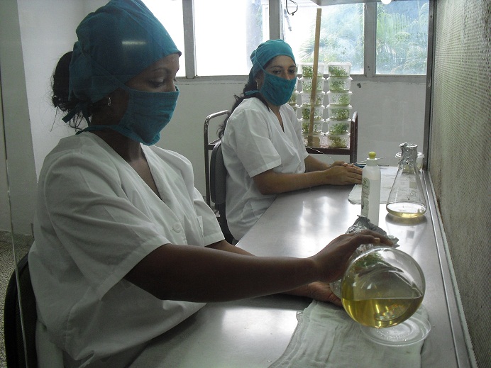 Han sido años de dedicación y estudio del Instituto de Biotecnología de las Plantas para hacer realidad el pensamiento científico del Comandante en Jefe.