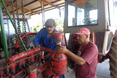 Más azúcar y cero desidias