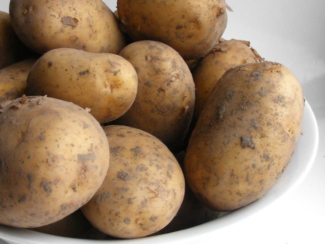 Foto: Tomada de internet