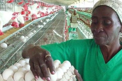 Más salario con mayor producción pero no la suficiente