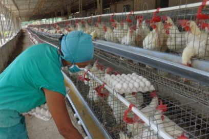 CTC de Matanzas reconoce a empresas triunfadoras