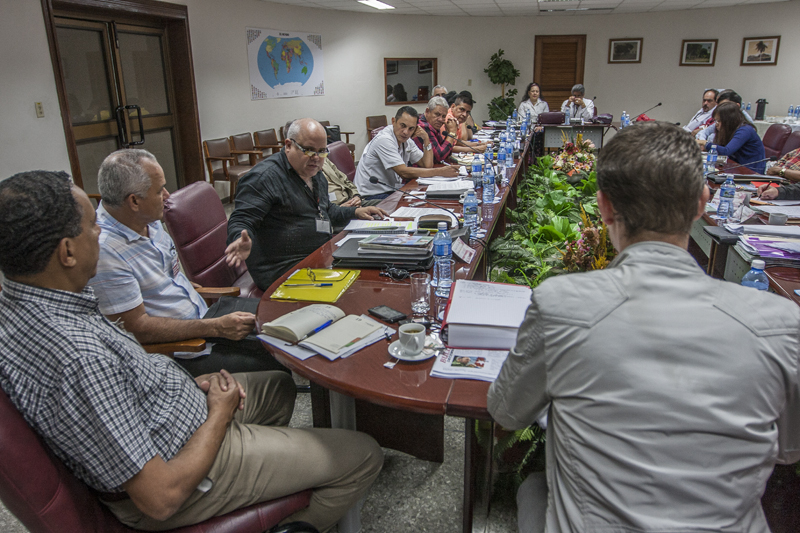 Fotos: René Pérez Massola