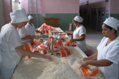 Los innovadores: puntales para la producción de alimentos.