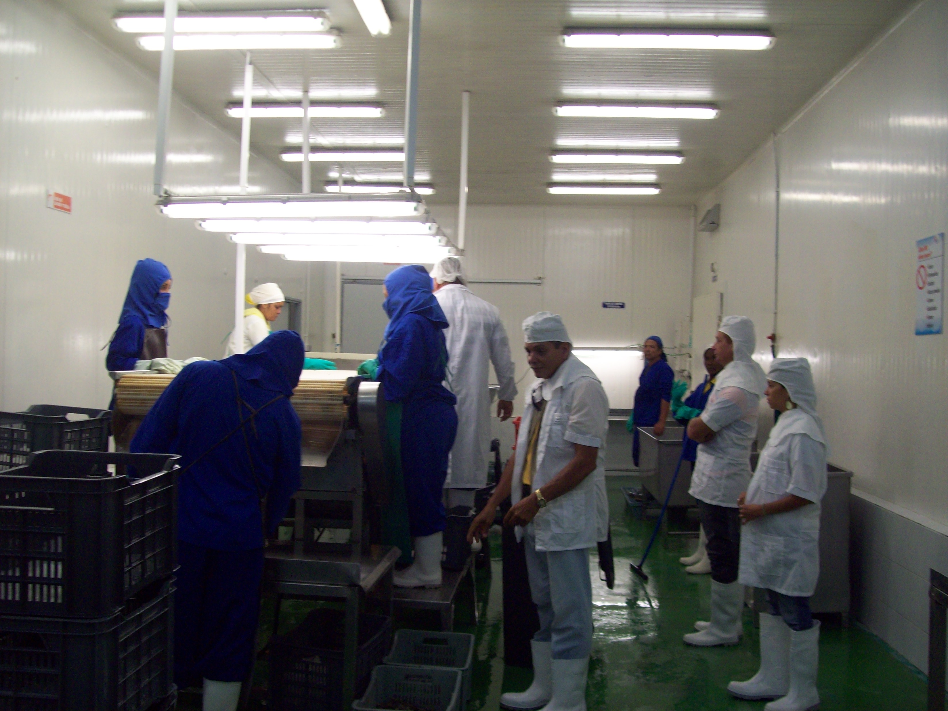La salud y seguridad del trabajo es uno de los temas que deben discutirse en los colectivos laborales. Foto: Lianet Suárez Sánchez
