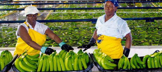 Sustento de vida y espíritu