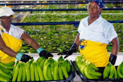 Sustento de vida y espíritu