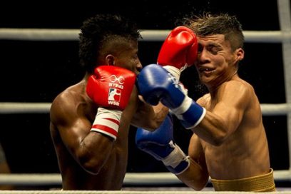 Domadores a ritmo de conga