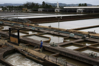 Cada vez menos para Brasil