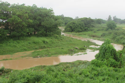 Pinar del Río Por las Sendas del Triunfo