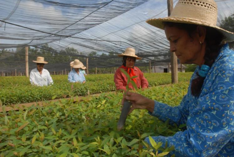 Aprovechar todas sus bondades