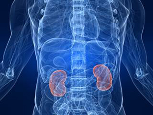 Estudios preclínicos pronostican promisorios resultados con ese producto. Foto: Cancer Therapy Advisor