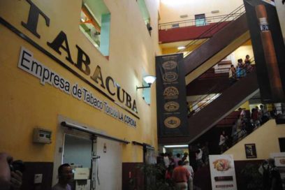 Visitors to Tobacco Factories Discover an Unexpected World