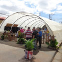 Postales de la Feria del Libro en Pinar del Río (+ fotos)