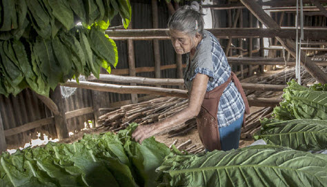 Mujer, tú que vives más