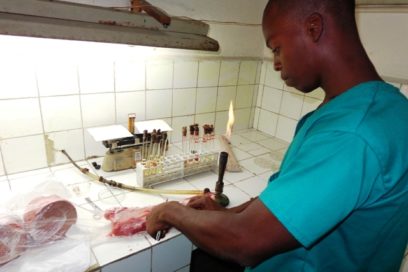 Vigilancia epizootiológica: una tarea vital