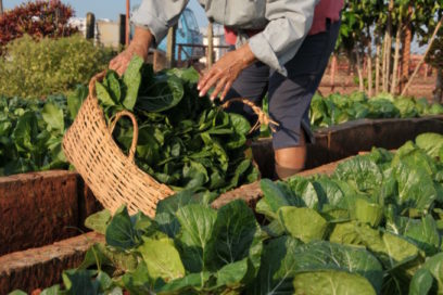 Un Primero de Mayo matancero en alianza campesina