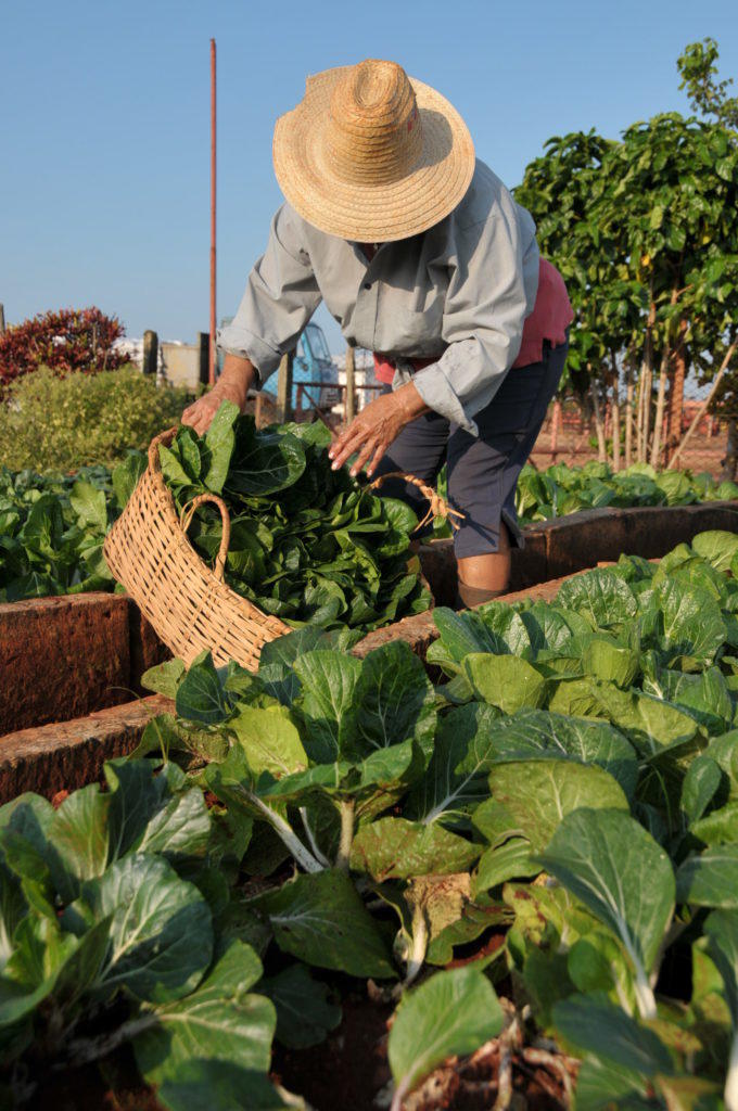 Un Primero de Mayo matancero en alianza campesina