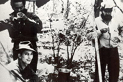 Inmortalidad del pequeño capitán valiente