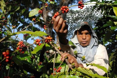 Saludo productivo desde Santiago de Cuba al Primero de Mayo