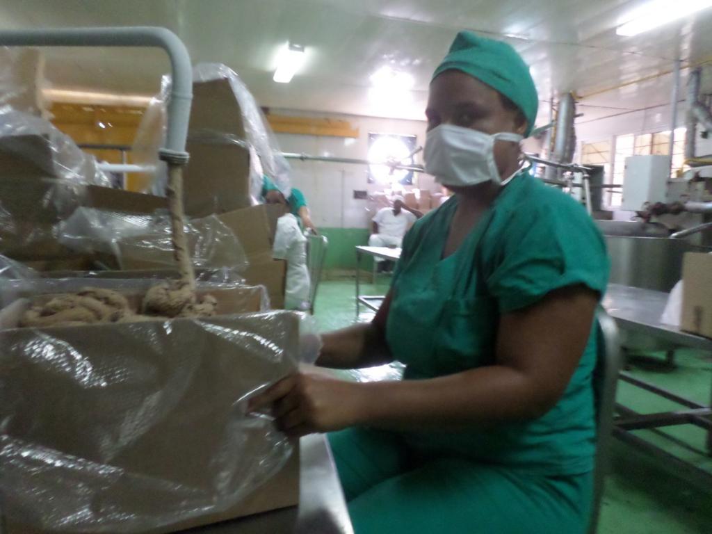 Listos para desfilar trabajadores de la alimentaria y la pesca en Santiago de Cuba