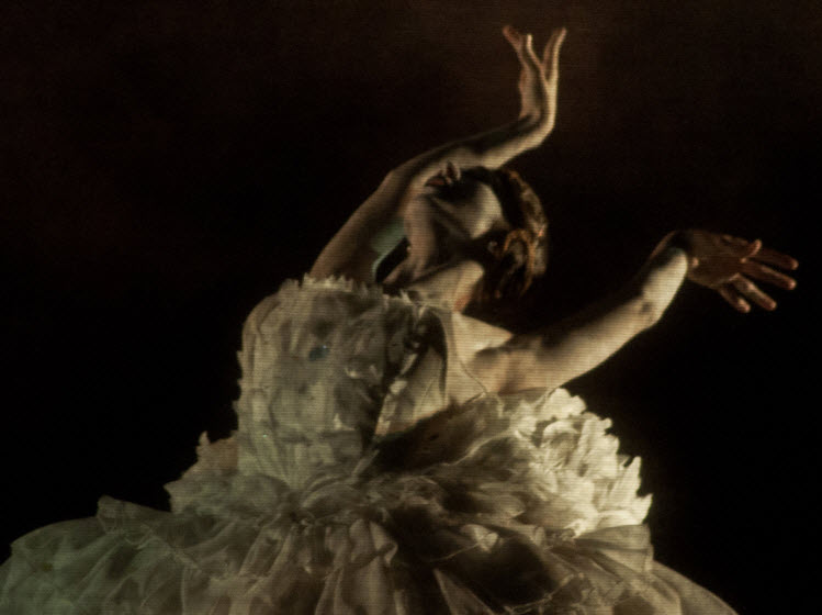 La danza, siempre…
