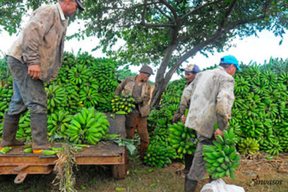 Primero de Mayo: laboriosidad y júbilo
