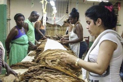 Fiesta para los tabacaleros